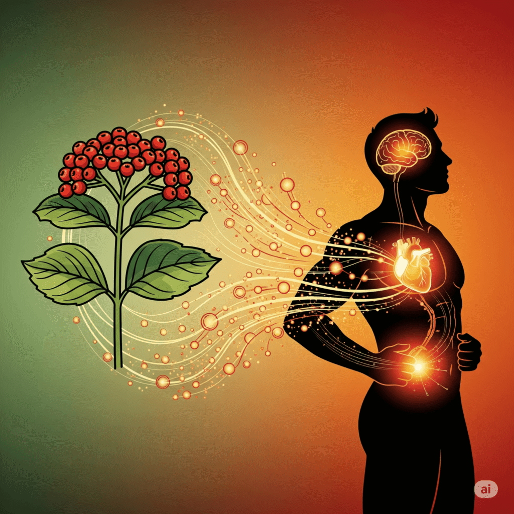 Tingkatkan Vitalitas dan Gairah Pria dengan Cornus Officinalis